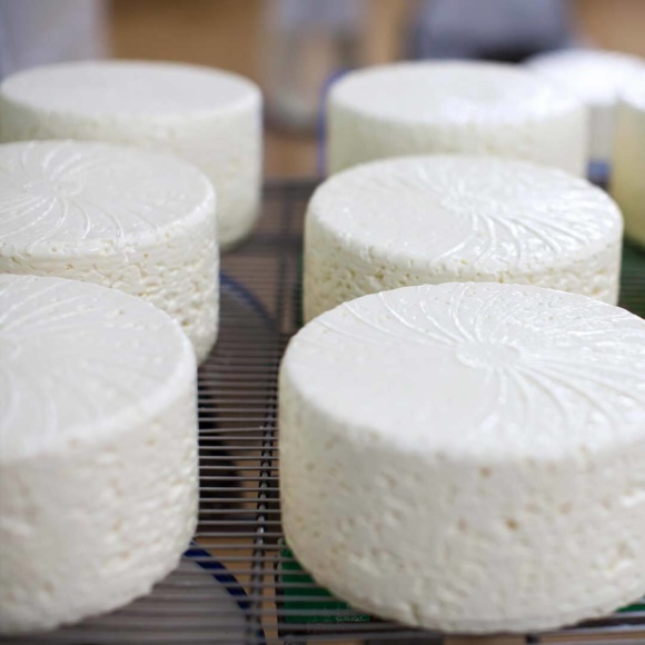 Départ des fromages pour l'affinage - Étape de fabrication de nos fromages