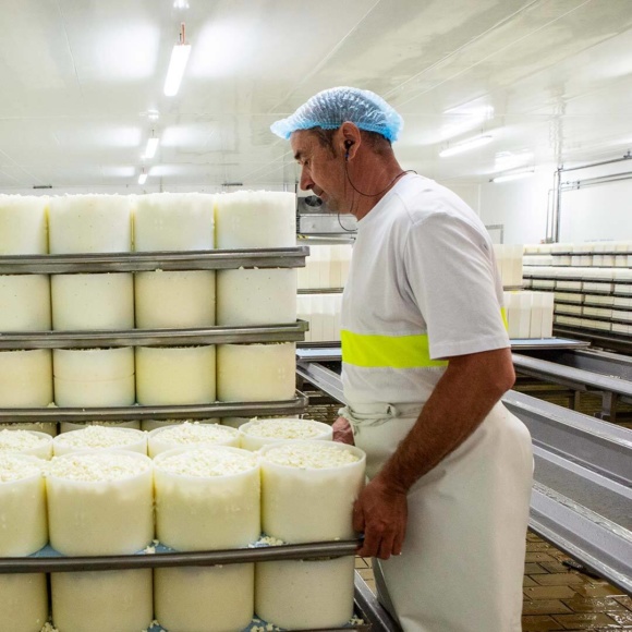 Égouttage et moulage - Étape de fabrication de nos fromages