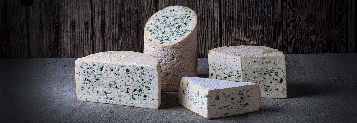 Comment conserver le fromage ?