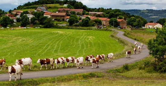 Notre terroir